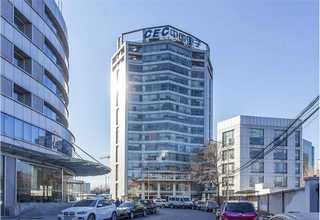 河北晚茶贵不贵