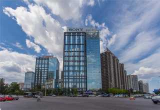 男童服装设计服务价格