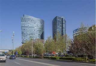 石家庄富硒小麦品种销售